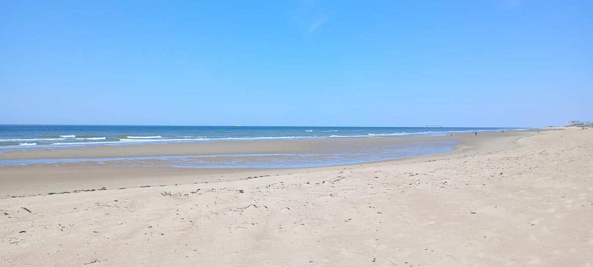 Finally found a bit of Belgian coast that isn't 1960s high-rises and fricadelles.