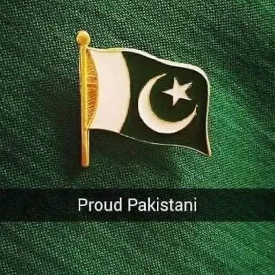 Farzand_e_zaidi tweet media