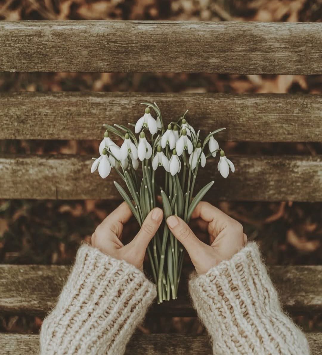 |

İki şeyin telafisi olmaz..

Biri kırdığın kalbin, ikincisi de
kendinden soğuttuğun insandaki eski yerin..!

_______