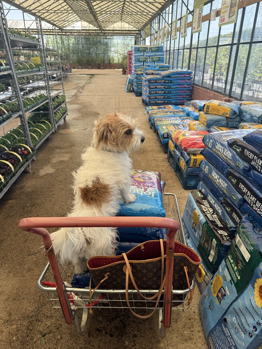 My daughter taking #jock everywhere