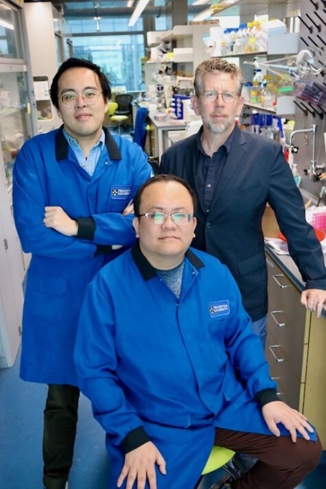 Princeton University (@princeton) on Twitter photo A new protein editing technology from <a href="/MuirLab/">The Muir Lab</a> at <a href="/PrincetonChem/">Princeton Chemistry</a> could give scientists a new tool to combat disease in the human body: bit.ly/435Ok4j A new protein editing technology from <a href="/MuirLab/">The Muir Lab</a> at <a href="/PrincetonChem/">Princeton Chemistry</a> could give scientists a new tool to combat disease in the human body: bit.ly/435Ok4j