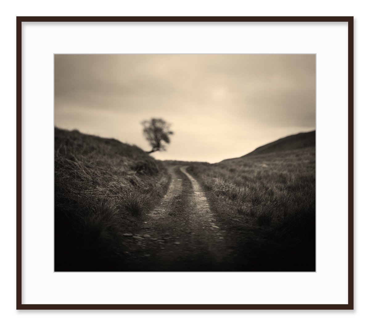 craig_easton's tweet image. “The only real snag here is transport – everything has to be brought over 8 miles of inconceivable road...”
George Orwell, letter to Richard Rees, 5th July 1946
From my forthcoming book: An Extremely Un-get-atable Place. 
Find out more here…
kickstarter.com/projects/gblim…
#orwell