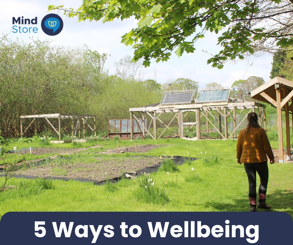 CFINEAberdeen's tweet image. During Mental Health Awareness Week, we want to shine a light on Mind Store, a partner of CFINE
Over five weeks they have been running a campaign called ‘5 Ways to Wellbeing', providing tips on how to boost your own mental health
justgiving.com/campaign/5ways…