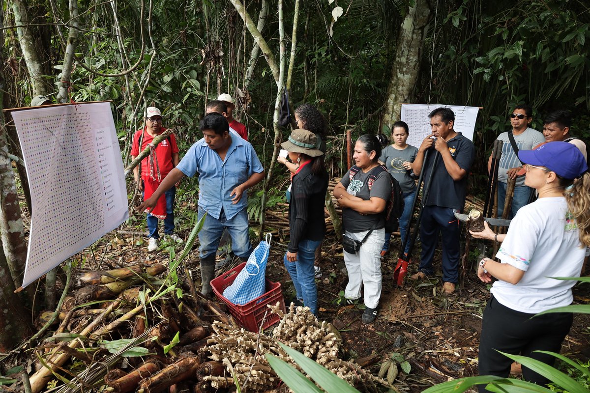 repam_amazonia's tweet image. Del 24 al 26 de abril de 2025 se realizó en Puerto Maldonado (Perú) el IV y último Taller de la Comunidad de Aprendizaje en Justicia #Socioambiental y Buen Vivir de la #REPAM, bajo el lema “Lo que aprendimos y lo que soñamos”.