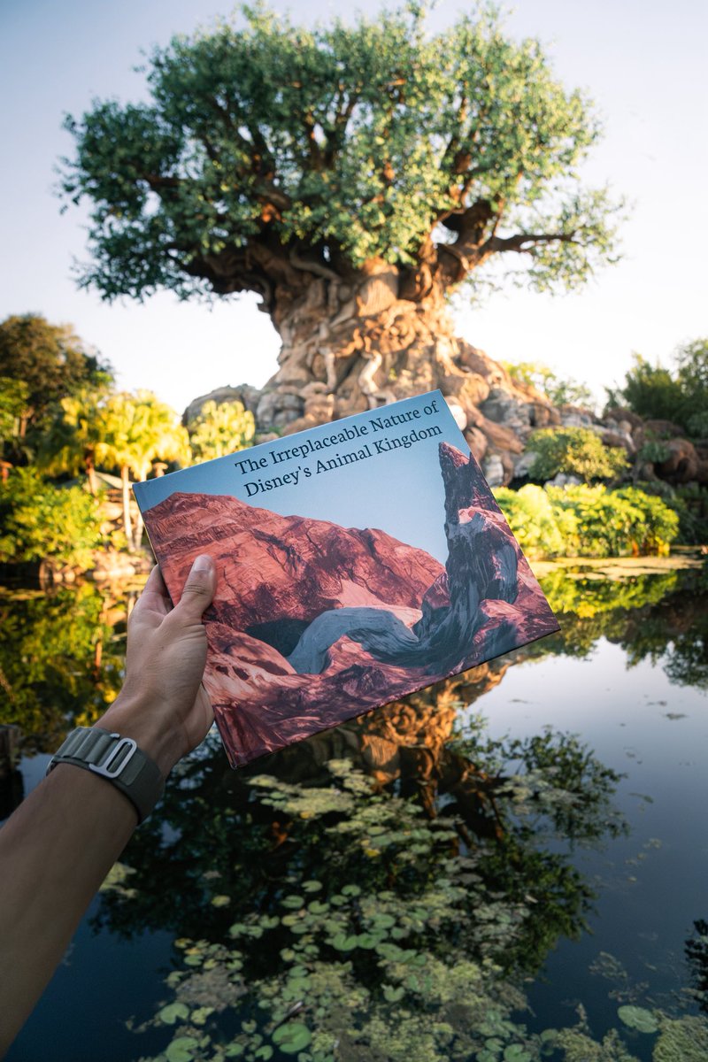 EvanPatel11's tweet image. Incredibly excited to announce my first photography book is done! The Irreplaceable Nature of Disney’s Animal Kingdom represents my perspective on the most beautiful theme park. Each land is featured with vibrant photos from all! Link in bio or message me if you’re interested!