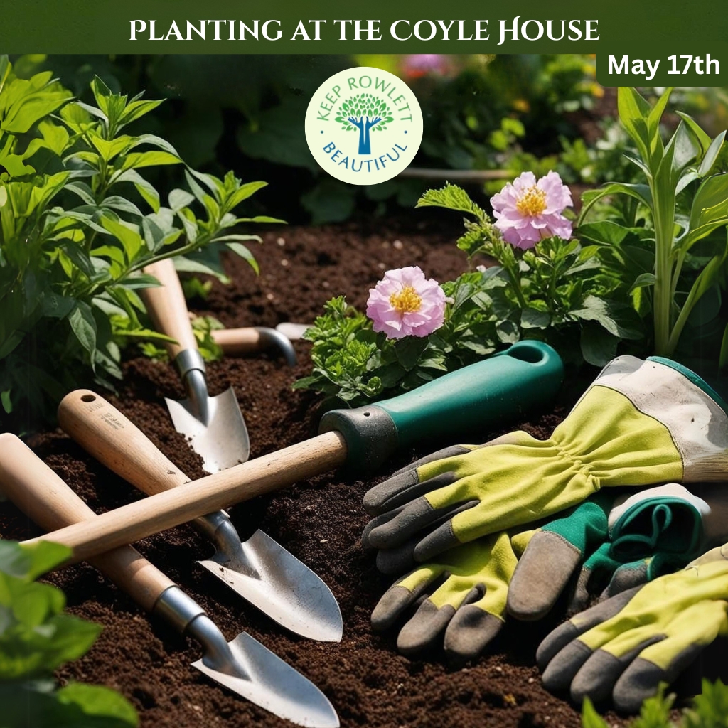 KRB_RowlettTX's tweet image. 🌿 Join us May 17, 9AM to 11AM at the Coyle House (by Rowlett Community Center &amp;amp; Pecan Grove) for a planting day! 🪴

Bring your trowels, tools &amp;amp; gloves 🧤
It may be muddy!
Let’s grow something beautiful together!

#CommunityPlanting #KRB