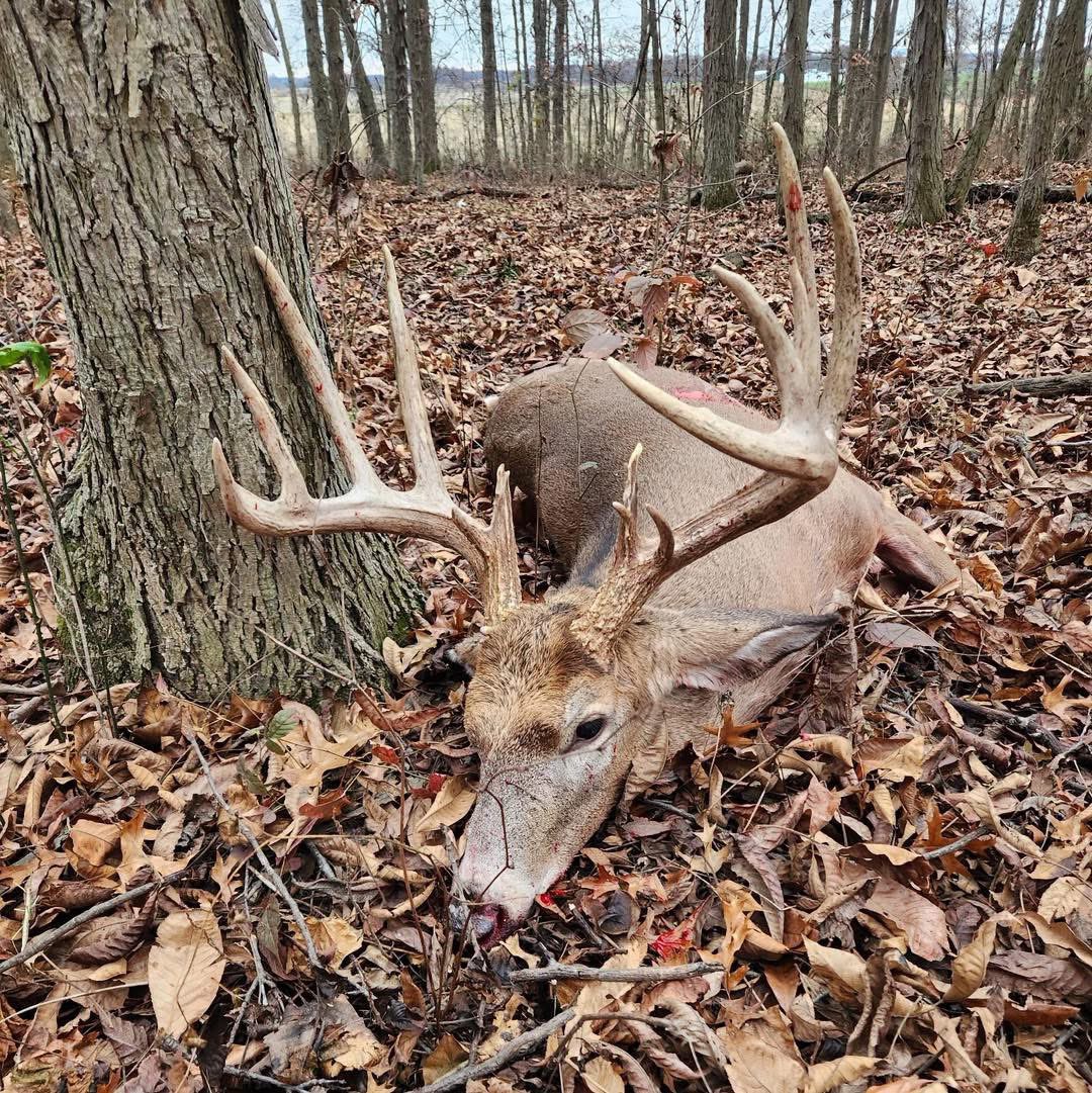 Tines for DAYYYSSS 🦌

BART Leininger took this TANK in Ohio last season and if this one doesn’t make you miss deer season… you’re not a true hunter!
He ended up having an official BTR Score of 189 6/8 inches! Thanks to Toby Hughes-Buckmasters of Ohio for scoring him for us!