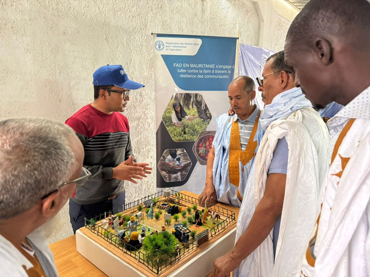 FAOMauritania (@faomauritania) on Twitter photo Forum sur l'autosuffisance en aliment bétail à #Guerou. <a href="/elevageMR/">Ministère de l'Elevage - Mauritanie</a> a visité le stand de la <a href="/FAOMauritania/">FAOMauritania</a> , qui a présenté ses interventions clés dans le secteur de l'élevage et de la production animale
#FNE Forum sur l'autosuffisance en aliment bétail à #Guerou. <a href="/elevageMR/">Ministère de l'Elevage - Mauritanie</a> a visité le stand de la <a href="/FAOMauritania/">FAOMauritania</a> , qui a présenté ses interventions clés dans le secteur de l'élevage et de la production animale
#FNE