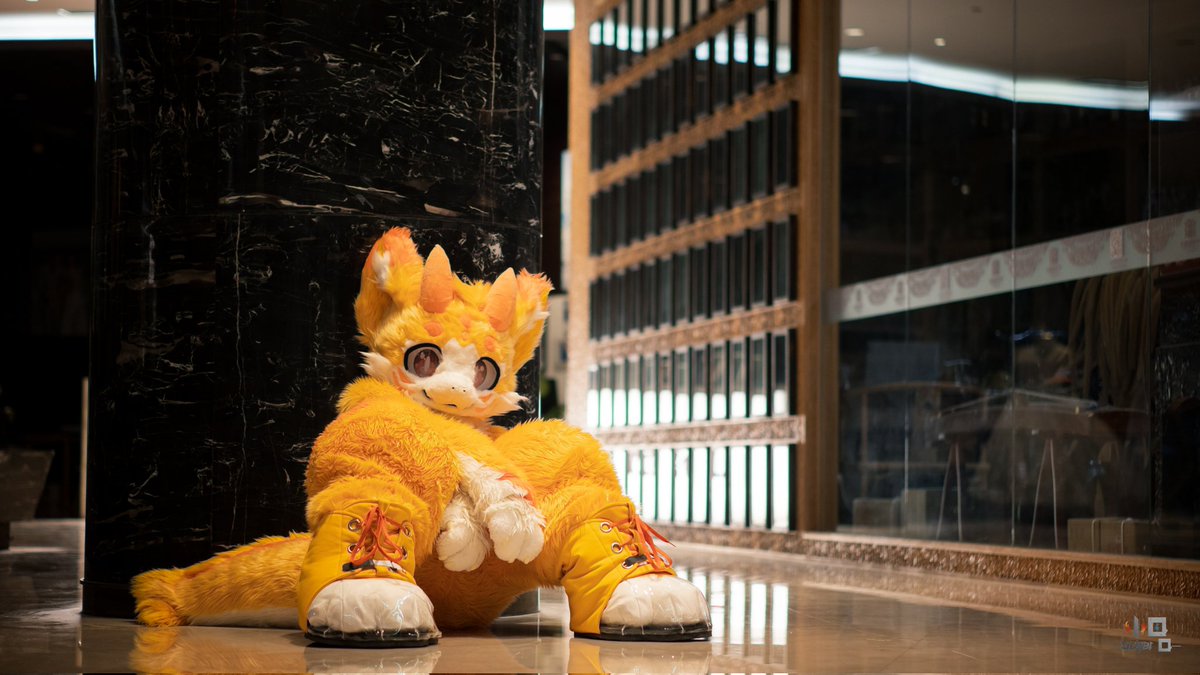 #FursuitFriday
毛🖐！

很乖很听话

📷：小Q