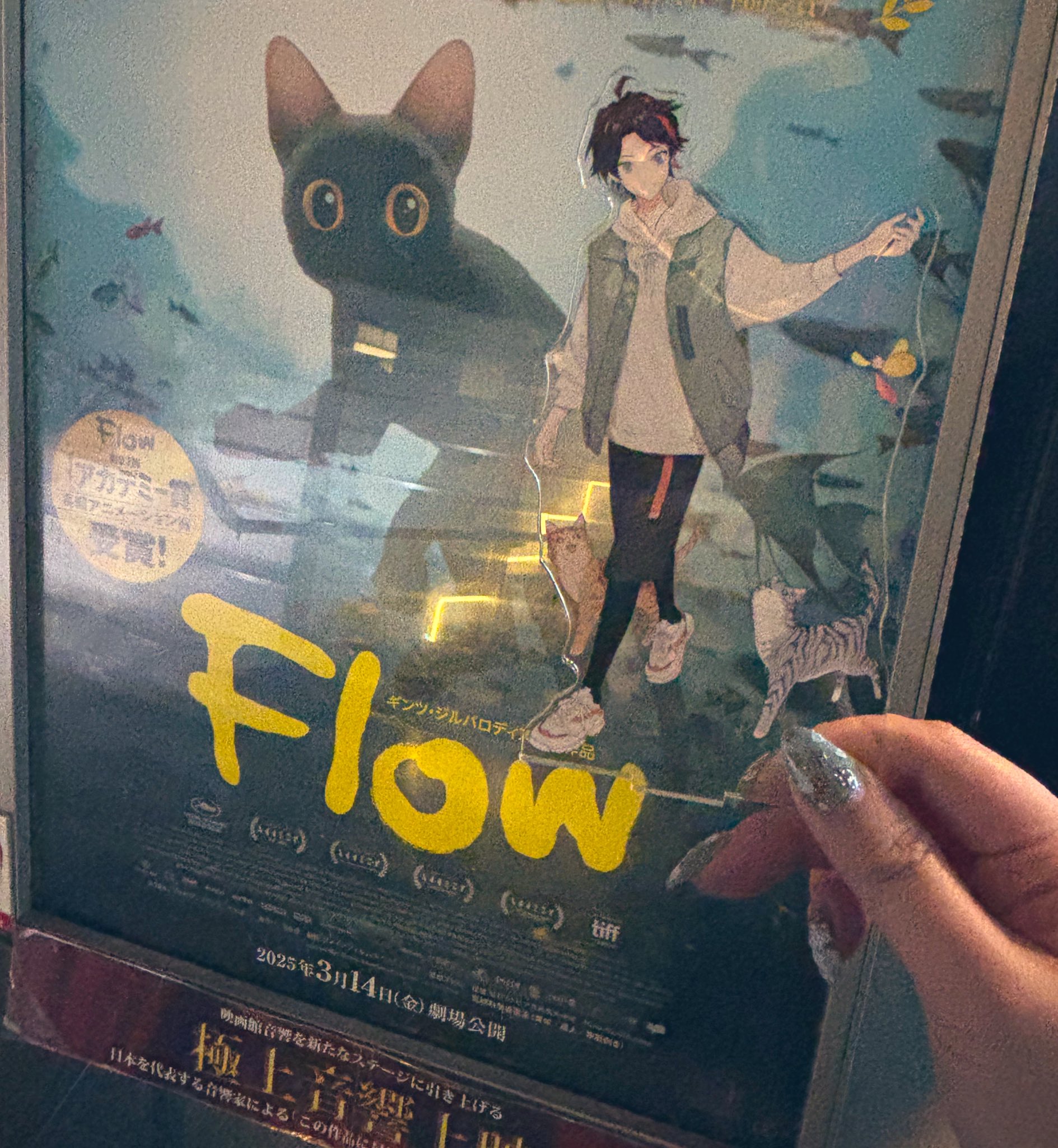 映画『Flow』公式 2025年3月14日公開 (@flow_movie0314) / X
