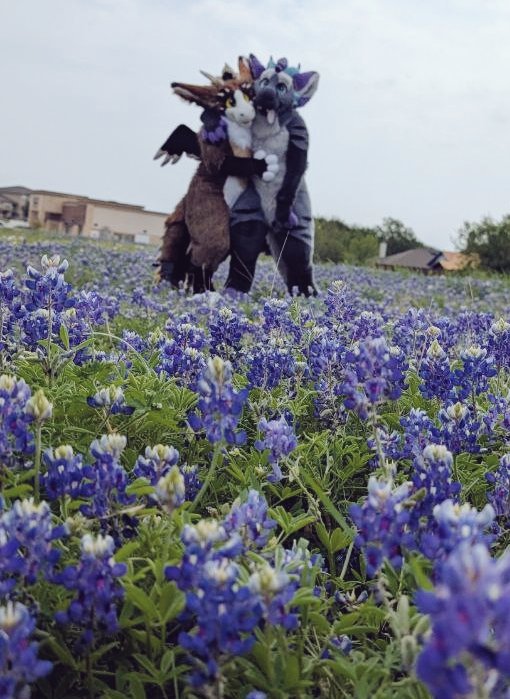 Monoyasha @TFF (@monoyashadvc) on Twitter photo Happy #FursuitFriday
I have wanted to take photos with blue bonnet flowers since moving to Texas. Thanks to the help of my friends <a href="/TheInodog/">🌟🌵Theinodog🌵🌟</a> and <a href="/PonySoap/">SoapPony (Siesta, Denfur, Saboten)</a> we finally did! Love of my life <a href="/DustDutchie/">Dust the Dutchie 🔜 🧭</a> Happy #FursuitFriday
I have wanted to take photos with blue bonnet flowers since moving to Texas. Thanks to the help of my friends <a href="/TheInodog/">🌟🌵Theinodog🌵🌟</a> and <a href="/PonySoap/">SoapPony (Siesta, Denfur, Saboten)</a> we finally did! Love of my life <a href="/DustDutchie/">Dust the Dutchie 🔜 🧭</a>
