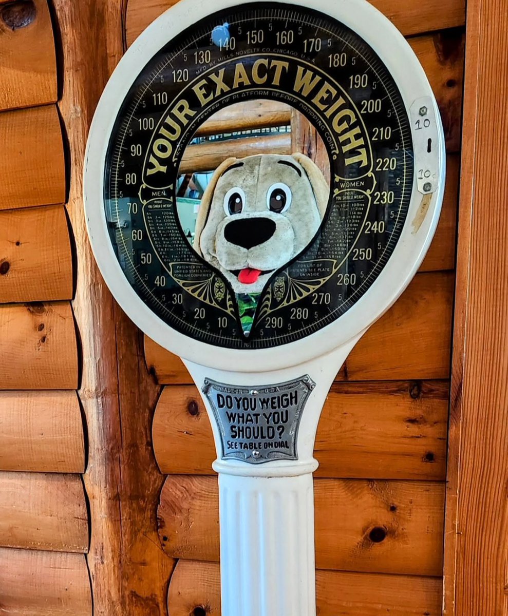 darrenrovell's tweet image. Kids of the 80’s: The Ground Round is back. One opened this week in Shrewsbury, Mass.

Free popcorn, ice cream sundae in a helmet and yes, kids under 12 cost a penny a pound — yes, they’ve brought back the scale!