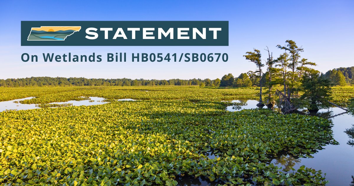 The protection of Tennessee’s wetlands has always been and will always be a top priority for us here at TennGreen. Read our full statement on Wetlands Bill HB0541/SB0670: heyor.ca/PDz6QA