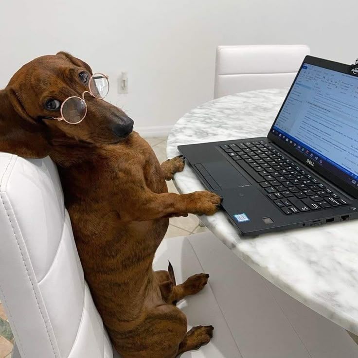 21 sitios web secretos que te dejarán boquiabierto:

[🔖 Guárdarlos para más tarde]