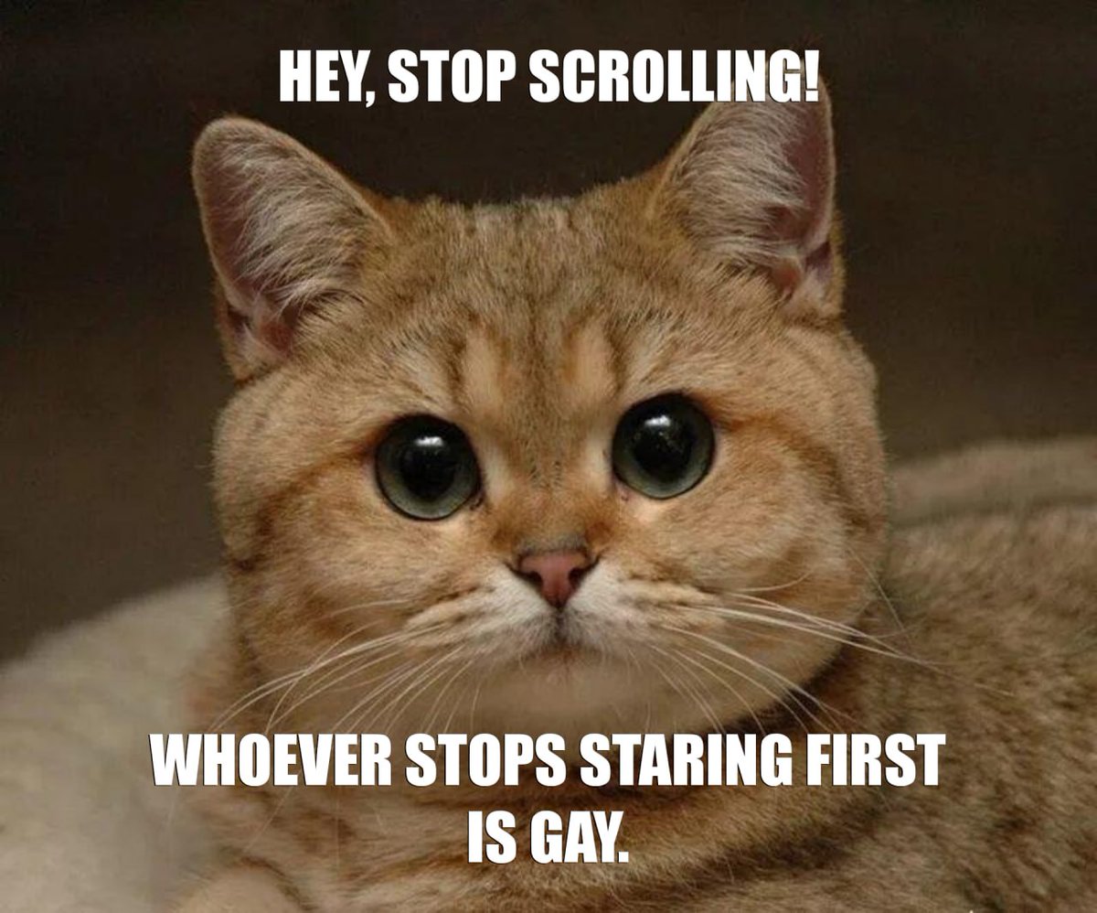 defi_pug's tweet image. The cat is still staring 

$Helia
FZnSMd1hPu5MVgttmtfDZUPN5gcuexvrh3CB67UuQshb