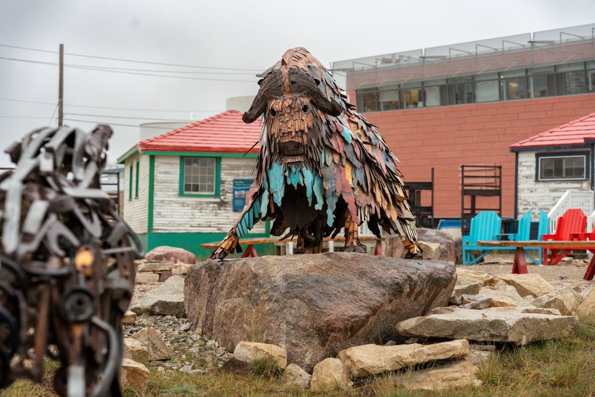 Savoir polaire Canada accepte maintenant les demandes de subvention dans le cadre du programme de subventions pour la recherche et les activités régionales en régions polaires, offrant un financement pouvant atteindre 50 000 $ par projet. Appliquer ici: canada.ca/fr/savoir-pola…