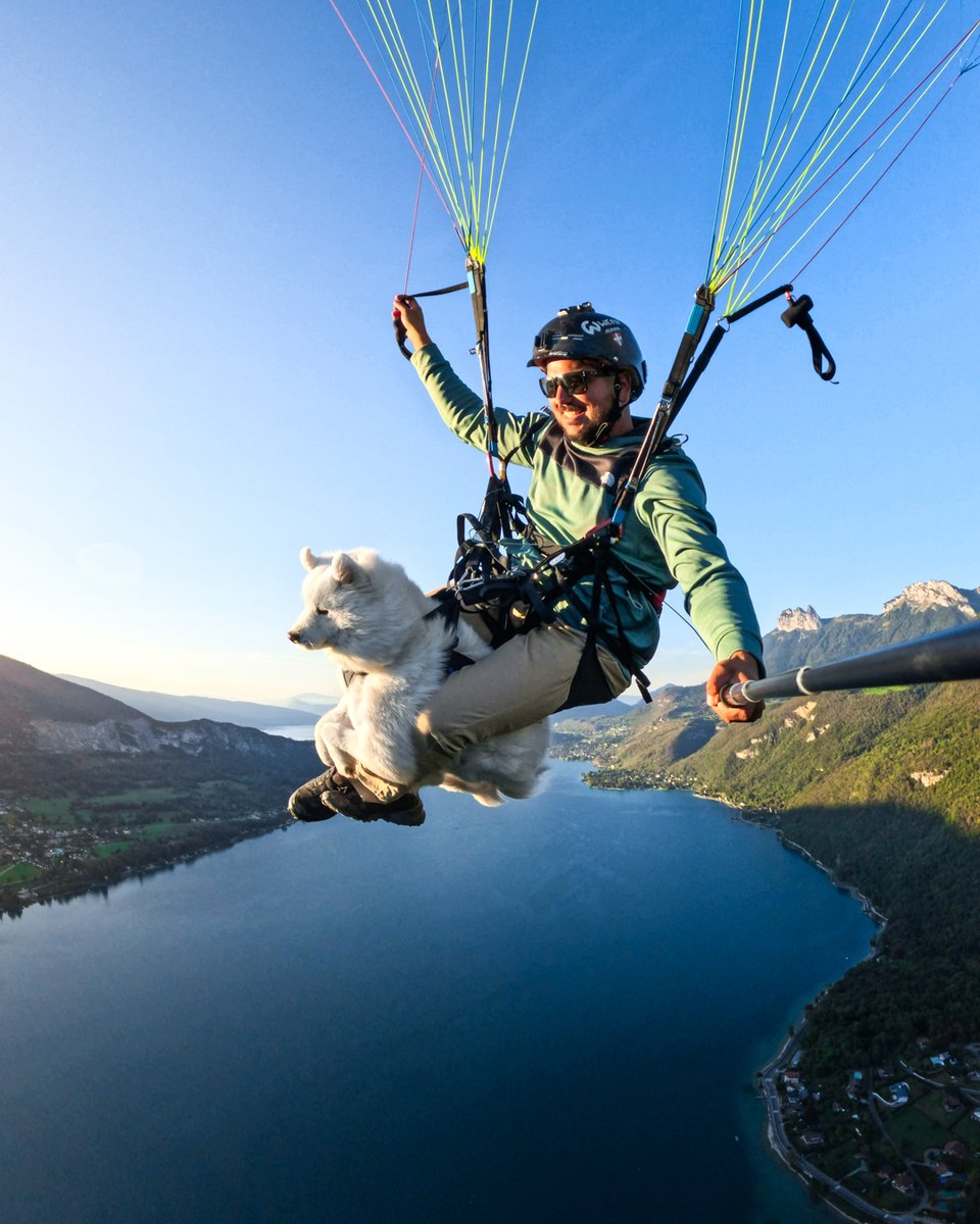 GoPro's tweet image. Photo Dump Friday: Four-legged friends for all 🐕

🐾 Teo Colombo
🌤️ Zem Guimaraes
🏄 Faith the surfer 
🪂 Théo Audebaud

#GoPro #GoProPets #DogsOfInstagram #Cute #Dogs #Dog #Puppy