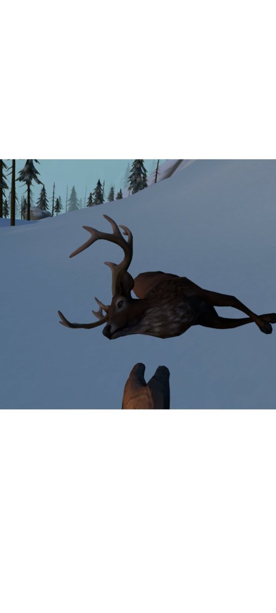 james andrew graham tweet media