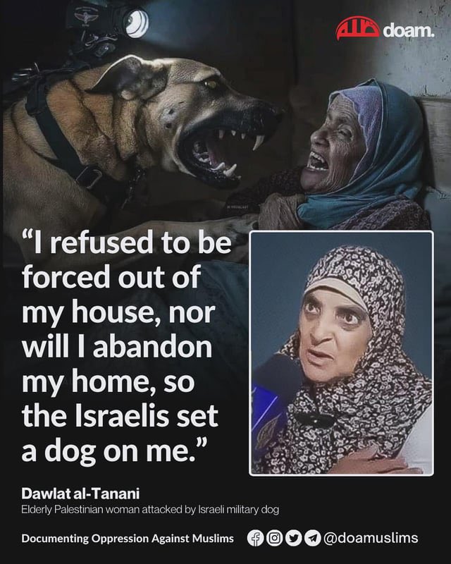 Motasem A Dalloul tweet media