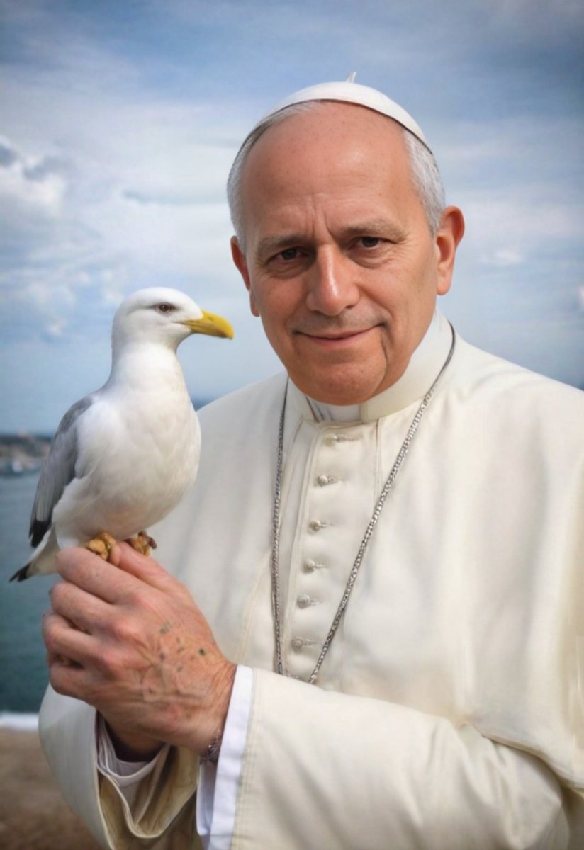 il Papa dei gabbiani...
#LeoneXIV #Prevost #Papa #gabbiano