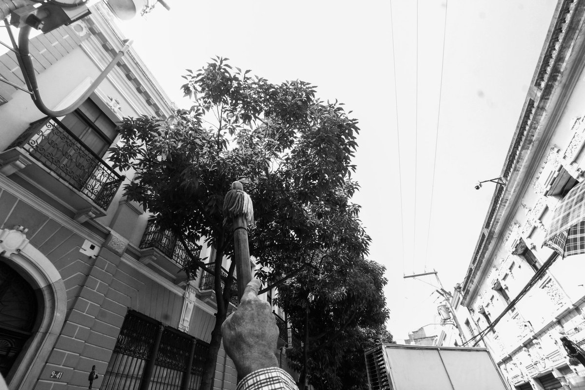 Las varas y las autoridades ancestrales del pueblo Xinka.

Imágenes de los plantones del <a href="/PAPXIGUA/">PARLAMENTO DEL PUEBLO XINKA</a> para presentar su posicionamiento en contra del proyecto minero El Escobal.

#FotografíaDocumental #FotografiaBlancoYNegro
#BlackAndWhitePhotography #DocumentaryPhotography