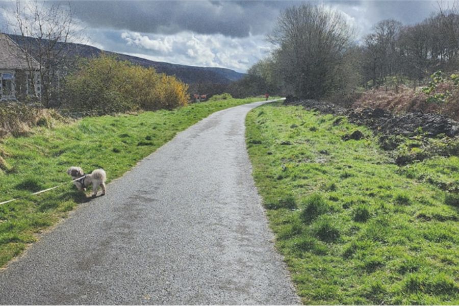 Croeso i RhCT | Visit RCT tweet media