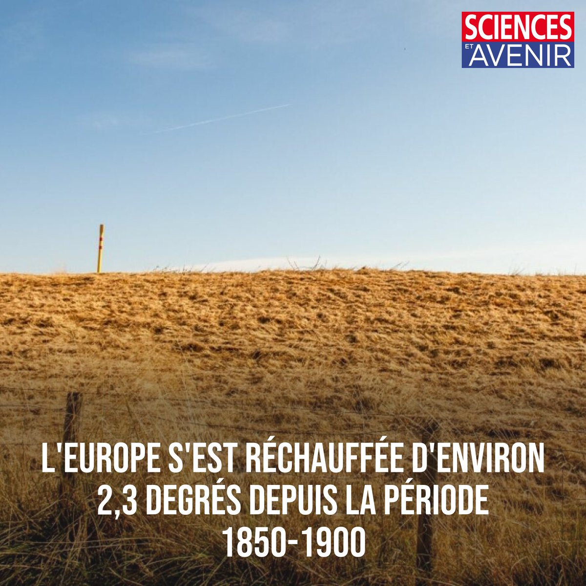 "L'Europe est la région du monde qui se réchauffe le plus rapidement" #JourneeDeLEurope 
👉 l.sciencesetavenir.fr/d1A