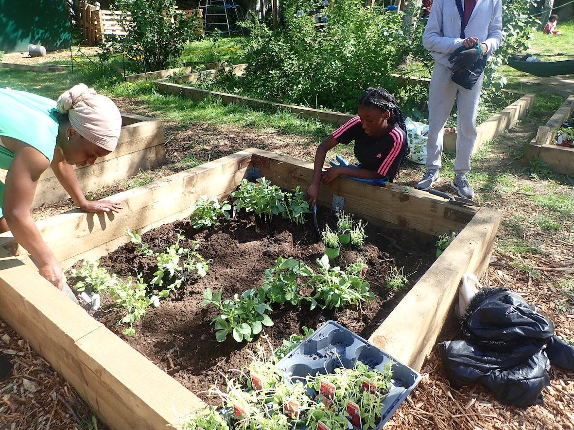 Nature Vibezzz (@naturevibezzz) on Twitter photo Join Charity Nature Vibezzz this Sat 4 FREE family activity session in West Norwood.
2pm - 4pm 10th May at Portobello Community Garden in West Norwood, SE27
Email info@naturevibezzz.org 4 info
Schedule naturevibezzznewsletter.wordpress.com/project-sessio…
#gardening #family #se27 #westnorwood Join Charity Nature Vibezzz this Sat 4 FREE family activity session in West Norwood.
2pm - 4pm 10th May at Portobello Community Garden in West Norwood, SE27
Email info@naturevibezzz.org 4 info
Schedule naturevibezzznewsletter.wordpress.com/project-sessio…
#gardening #family #se27 #westnorwood