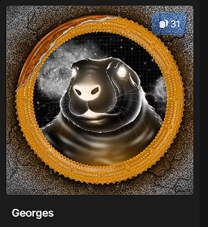 FreeMarmottoshis tweet media