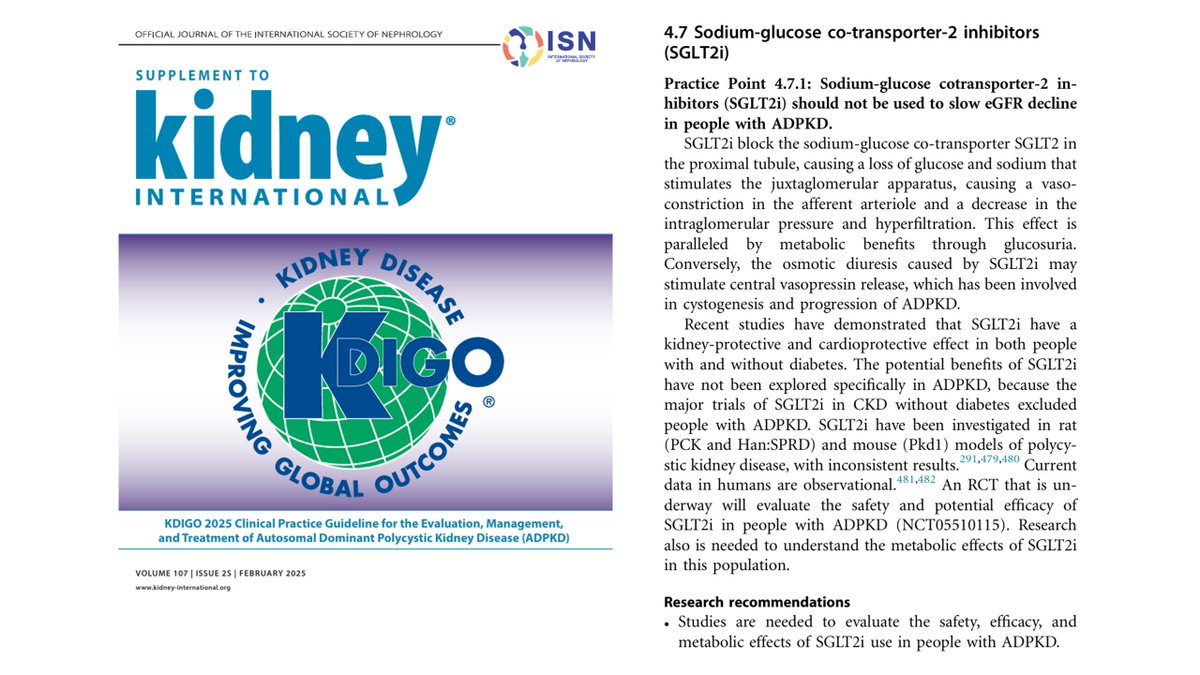 Use of SGLT2 inhibitors (SGLT2i) in ADPKD is "not presently recommended,"  because people with ADPKD have been excluded from the clinical trials; thus, its safety has not been evaluated
#Nephpearls

📌 The opinion of the <a href="/goKDIGO/">KDIGO</a>  Work Group is that, "at the moment," the only