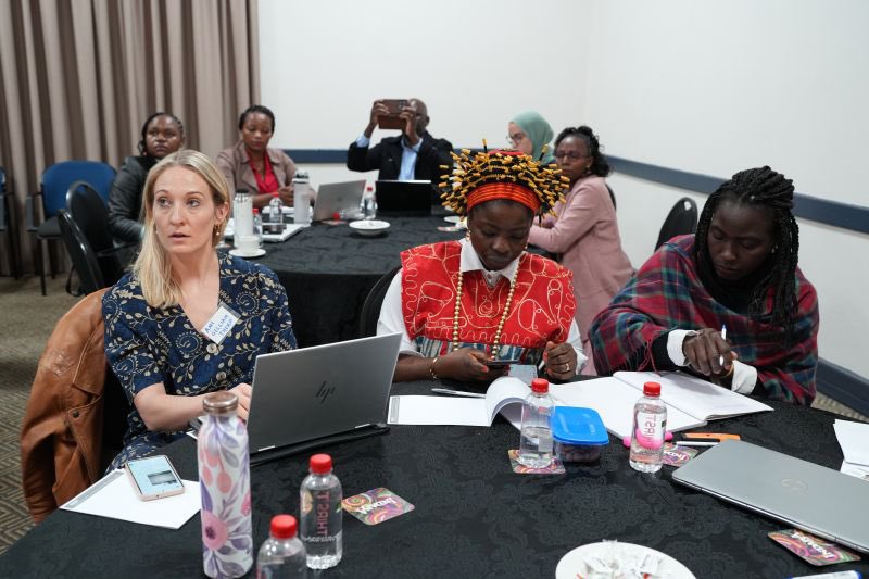 K_Mokgonyana's tweet image. I (happily) crash-landed the Pan African Coalition for Adaptation and Resilience (PACAR) convening happening in South Africa. #PACAR2025
I briefly spoke about the importance of “humanising adaptation” and how the #Adapt2Live campaign will seek to do this.