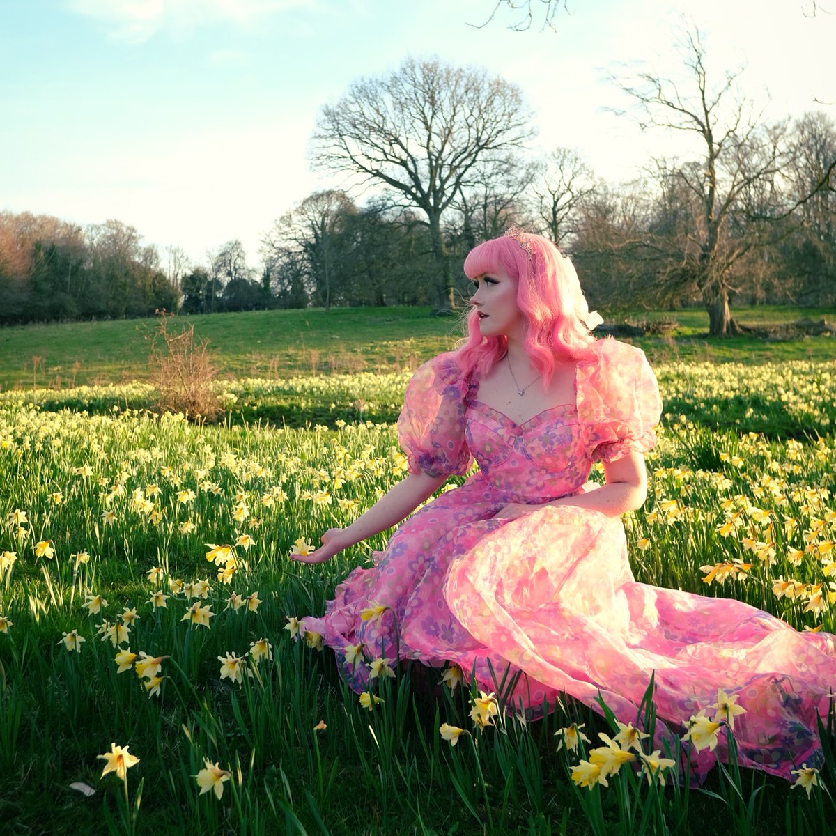 I’ll be taking part in the May Flowers Contest on <a href="/ManyVids/">ManyVids</a> and offering some mega MEGA deals 👀 🌼🌷

manyvids.com//contests/5890…