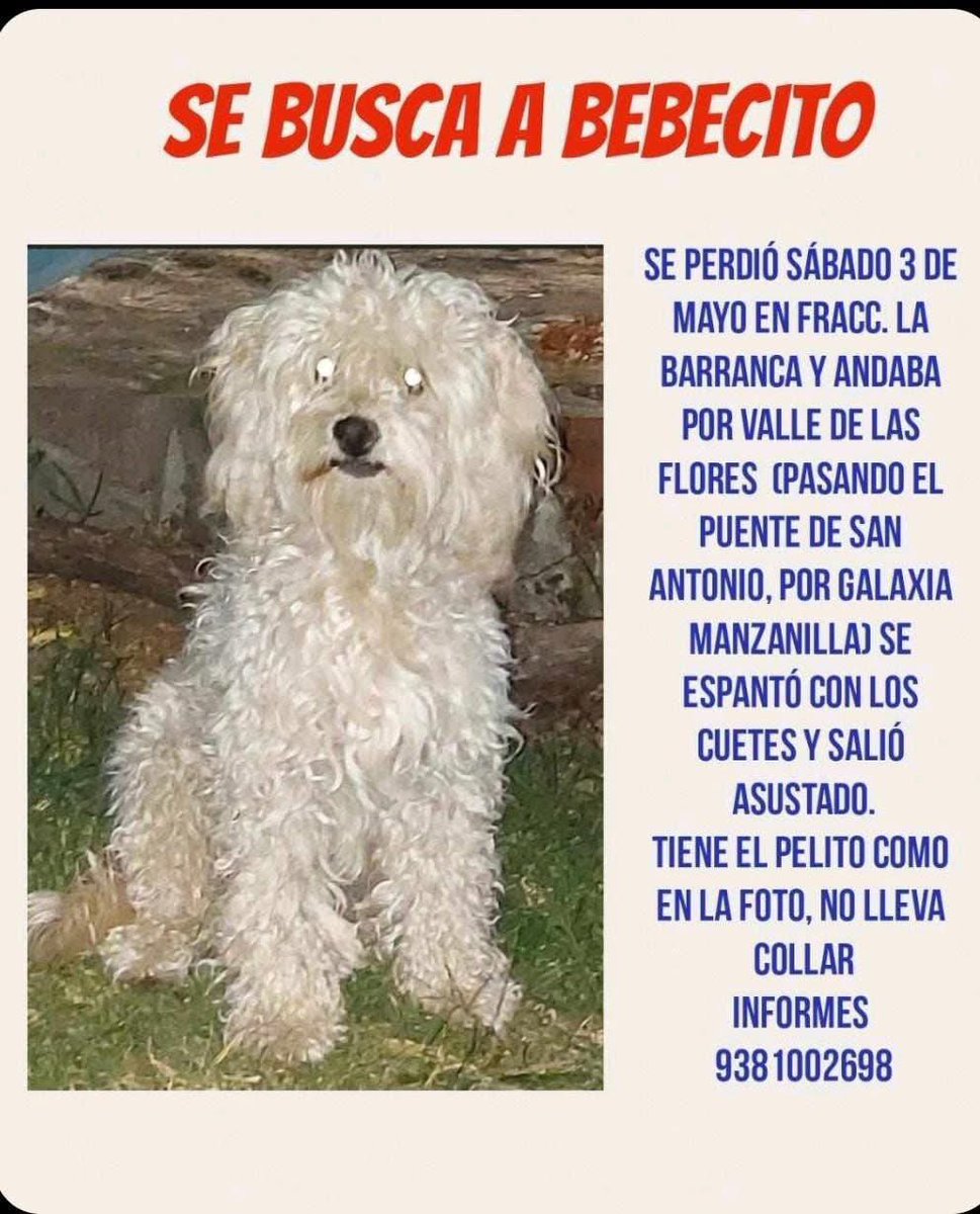 letizziagZ's tweet image. Me ayudan a compartir por favor! 🙏🏻

📍 Puebla