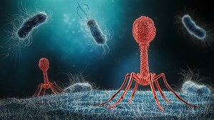 OACellBiology (@oacellbiology) on Twitter photo Call for Content: Don't forget to submit to Biology Direct's new Collection 'Evolution of prokaryote virus defense'! 
Guest Edited by Nash Rochman, Tito Calì and Daniele Marcoccia <a href="/lab_cali/">Calì_Lab</a> 
biomedcentral.com/collections/ep… Call for Content: Don't forget to submit to Biology Direct's new Collection 'Evolution of prokaryote virus defense'! 
Guest Edited by Nash Rochman, Tito Calì and Daniele Marcoccia <a href="/lab_cali/">Calì_Lab</a> 
biomedcentral.com/collections/ep…