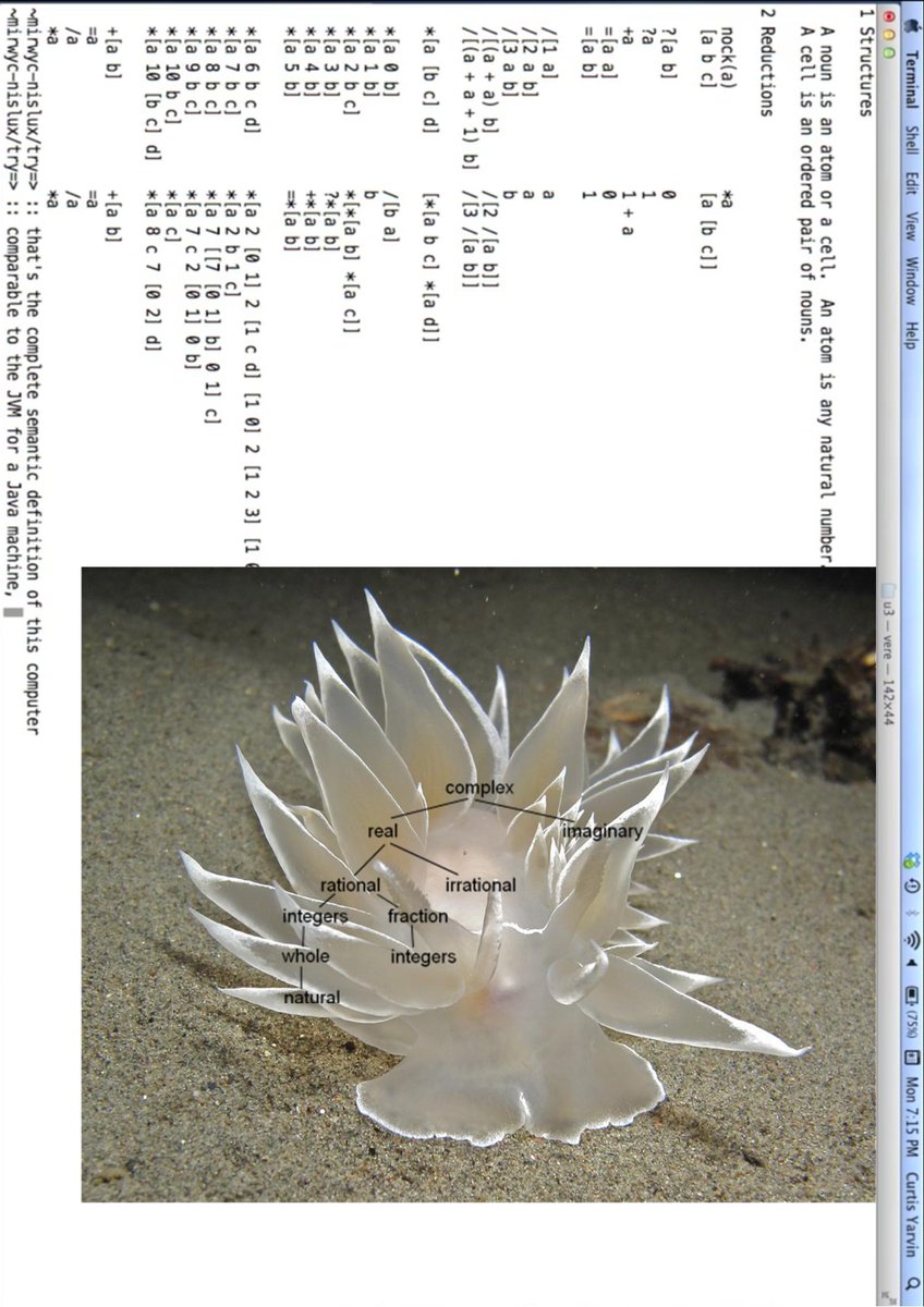 hypersequence's tweet image. 