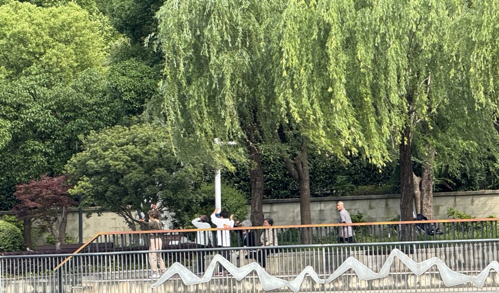 Шанхайгийн Дэлбэ гол. Бараг л лагер Нямбаатар аа 🤭