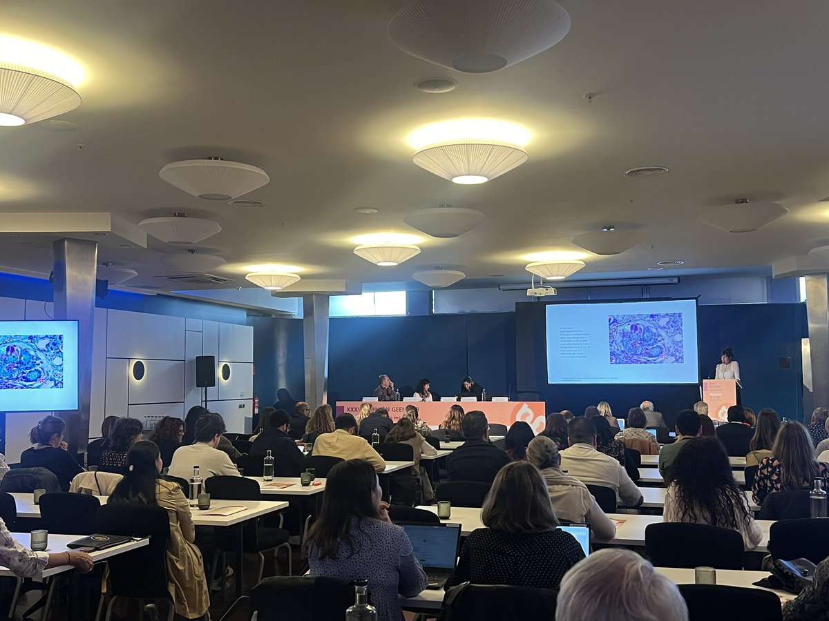 jlgorriz's tweet image. #GEENDIAB Reunión del GEENDIAB 2025 mostrando ‘The state of the art’ en ERC de la diabetes. 🔥🔥
🔗senefro.org/modules.php?na…
@jlgorriz @PepaSolerR @beaff26 @ClaraGCarro @dvdrry @mmvidas @ralcazara
@NovoNordiskES @BayerEspana @BoehringerES @AstraZenecaES @menarini_es @senefro