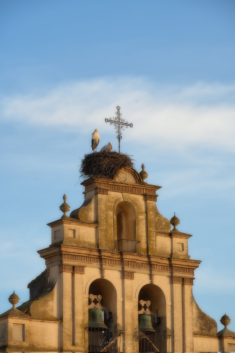 Arcos de la Frontera, Pueblos Blancos de la Sierra de #Cádiz

#Andalucia #hacerfotos #arcosdelafrontera <a href="/TurismodeArcos/">Turismo de Arcos de la Frontera</a> <a href="/CadizTurismo/">Turismo de la provincia de Cádiz</a> <a href="/LateCadiz/">Late Cádiz | latecadiz.com</a> <a href="/bebu/">bebu</a> <a href="/Futura_Noir/">Futura</a> <a href="/El_Universo_Hoy/">El Universo Hoy 🧈</a> <a href="/diputacioncadiz/">Diputación de Cádiz</a> <a href="/viajedeinterior/">Viajando por España</a> <a href="/spain/">Spain</a> <a href="/ArcosCiudad/">AyuntamientodeArcos</a>
