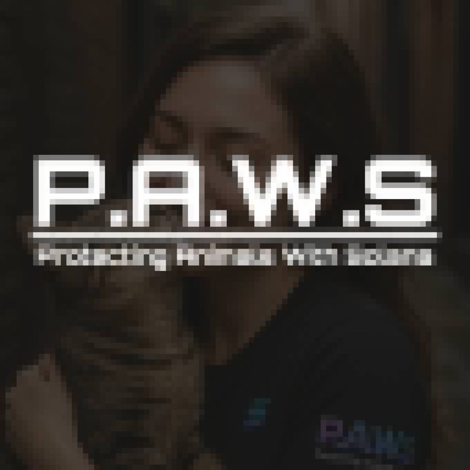 Xantra 🧩 tweet media