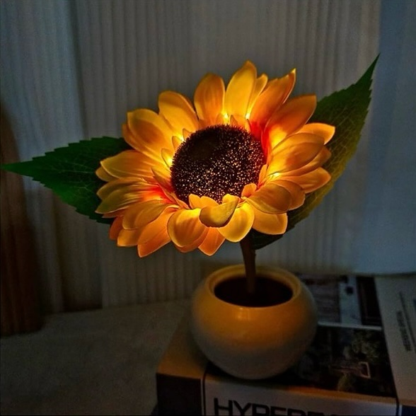 sunflowerchives's tweet photo. FAVORITE night lamp 💡💕 https://t.co/gIRHhcb5GW
