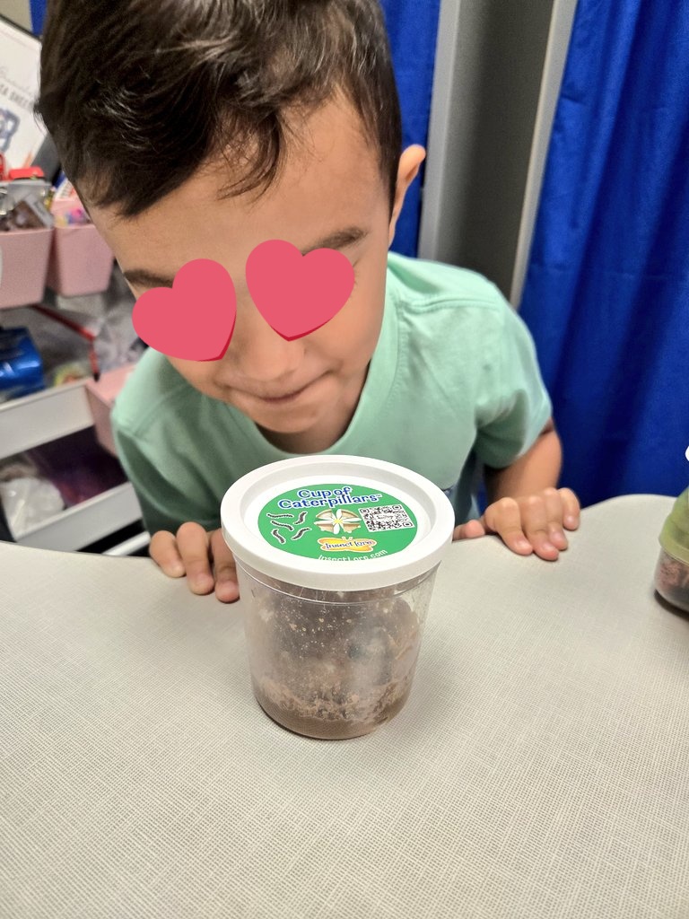 We sculpted the butterfly life cycle out of play-doh! My students brought each stage to life. Now we patiently wait for our real butterflies to hatch! 🐛🦋 <a href="/BrosnahanES/">Brosnahan Elementary</a> <a href="/PrinSilliman/">Dr. Renee Silliman</a> #CFISDSLP #SpeechTherapy