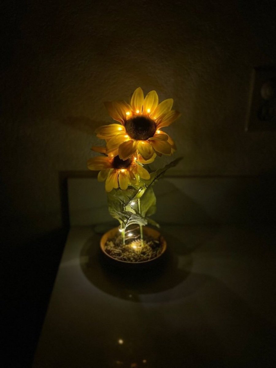 sunflowerchives's tweet photo. sunflower pot lamp🌻 https://t.co/M5N24hcXWD