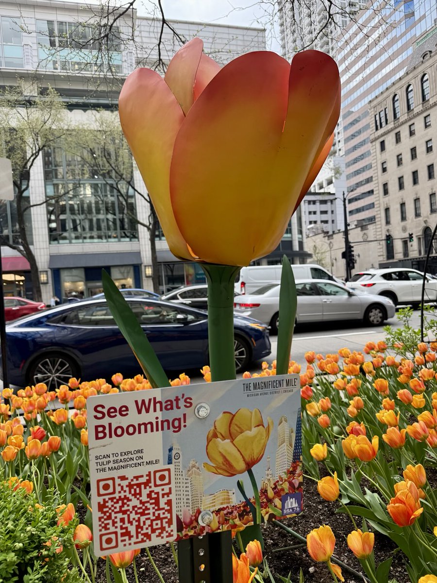 sandi_lam's tweet image. walking in between procedures, appointments & events for pediatric #neurosurgery, #epilepsy, #epilepsysurgery #research Lurieneurosurg @NeurosurgeryNM. #Chicago is great city. full of energy, enthusiasm, creativity & #hope. #smile