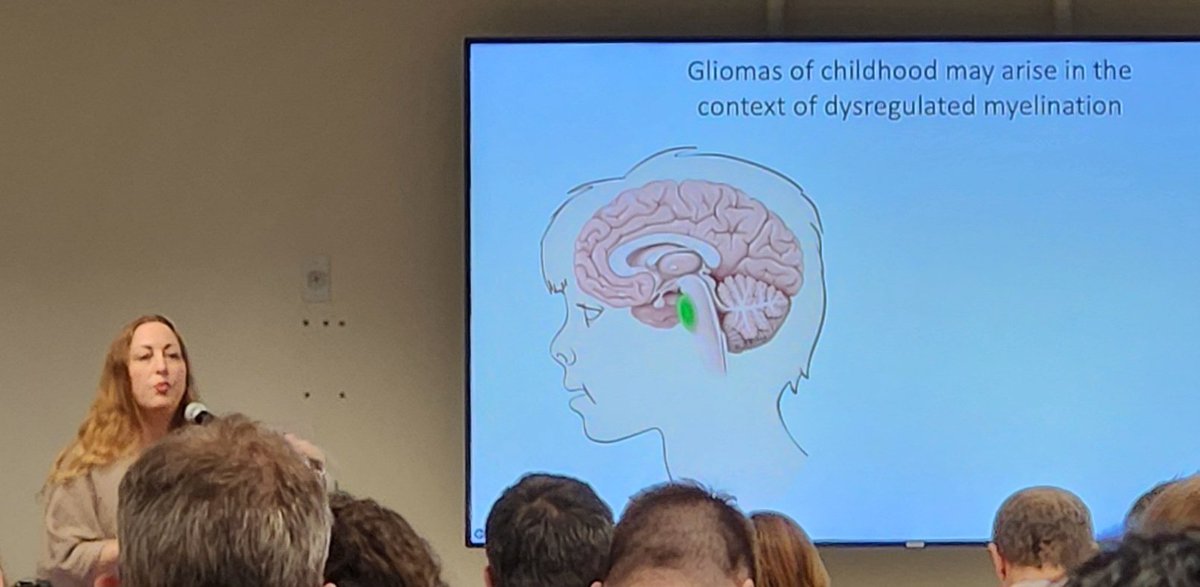 Joanna Lum (@_joannalum) on Twitter photo Absolutely awe-inspiring getting to hear from <a href="/michelle_monje/">Michelle Monje🎗️ 🟦</a> from <a href="/StanfordMed/">Stanford Medicine</a> using fascinating optogenetic techniques and advanced imaging tools to study the role of neuronal activities in regulating tumor growth in #dipg #DMG Absolutely awe-inspiring getting to hear from <a href="/michelle_monje/">Michelle Monje🎗️ 🟦</a> from <a href="/StanfordMed/">Stanford Medicine</a> using fascinating optogenetic techniques and advanced imaging tools to study the role of neuronal activities in regulating tumor growth in #dipg #DMG