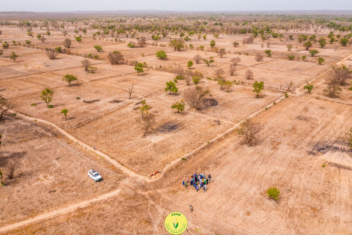 PAM Senegal (@wfp_senegal) on Twitter photo #Salémata vers sa Coopérative Agricole Communautaire 🌾
Depuis le 5 mai, une mission conjointe <a href="/MASAE_sn/">Ministère de l'Agriculture et de l'Elevage - MASAE</a> , #CSAR, <a href="/WFP_Senegal/">PAM Senegal</a> pour l'appuie à la création d’une CAC inclusive, moteur de résilience, sécurité alimentaire et cohésion sociale. <a href="/OnuSenegal/">ONU Sénégal 🇺🇳</a> #Salémata vers sa Coopérative Agricole Communautaire 🌾
Depuis le 5 mai, une mission conjointe <a href="/MASAE_sn/">Ministère de l'Agriculture et de l'Elevage - MASAE</a> , #CSAR, <a href="/WFP_Senegal/">PAM Senegal</a> pour l'appuie à la création d’une CAC inclusive, moteur de résilience, sécurité alimentaire et cohésion sociale. <a href="/OnuSenegal/">ONU Sénégal 🇺🇳</a>
