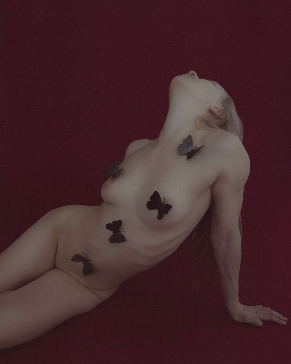 Time to fly • 65 XTZ 

and we all fly towards the light