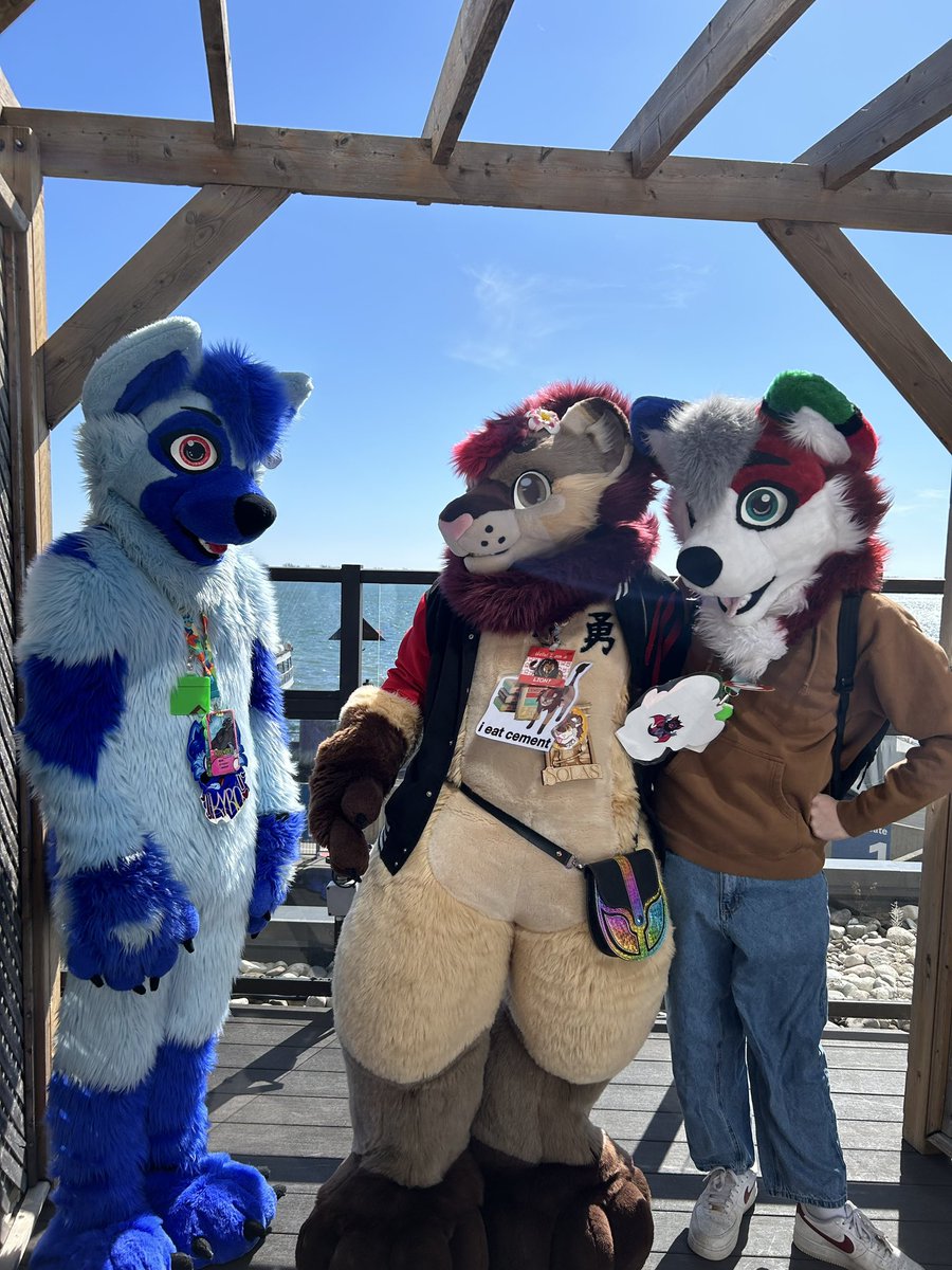 Eww… it’s a blue one… 😷😒
#FursuitFriday 
<a href="/HuskoMonty/">Monty 🔜 AC</a> <a href="/KyroKanine/">Kyro 🔜 AC</a>