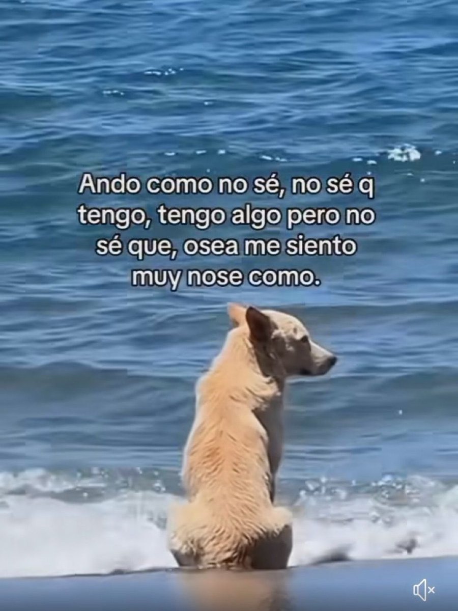 Frases Barbie (@barbie_context) on Twitter photo 