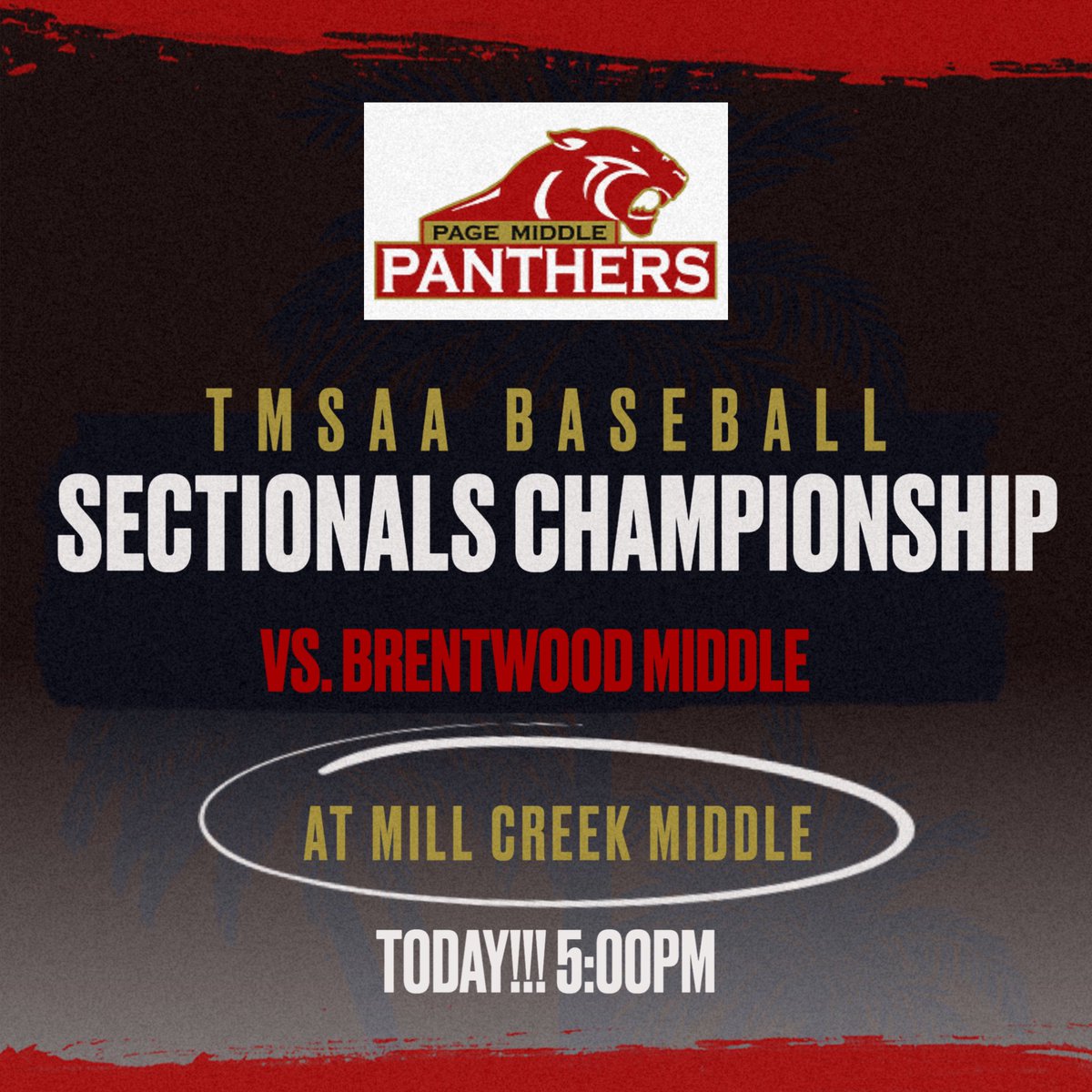 Let's try this again today! Get out and support your Panthers as they play to earn a spot in the TMSAA State Tourney! #comPete #PantherPride