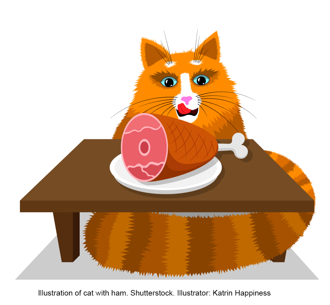 If we are asking children to read, understand and answer questions from a passage, that passage should at least engage their attention, and indeed their teacher’s attention as well. brilliantpublications.co.uk/how-can-you-en…